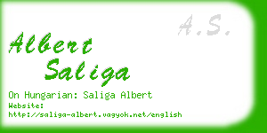 albert saliga business card